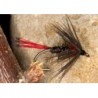 Red Tail Pennel