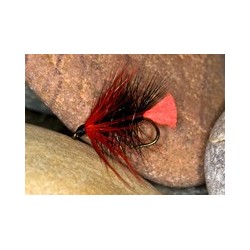 Red Zulu