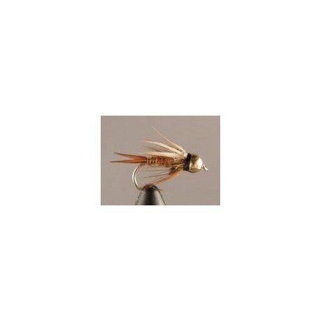 Bh Prince Nymph Hotwire