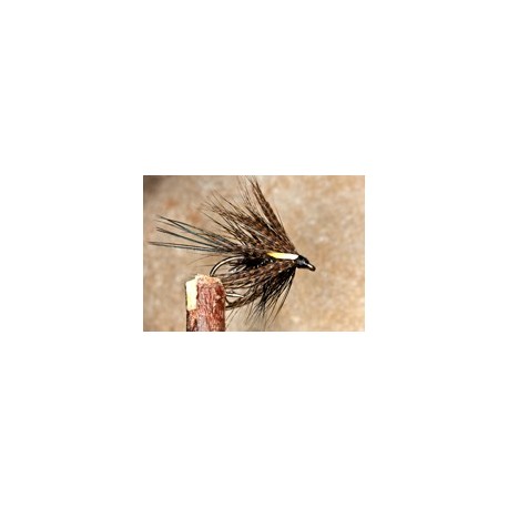 Straggle Dabbler Black