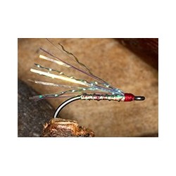 Sw Baltic Special