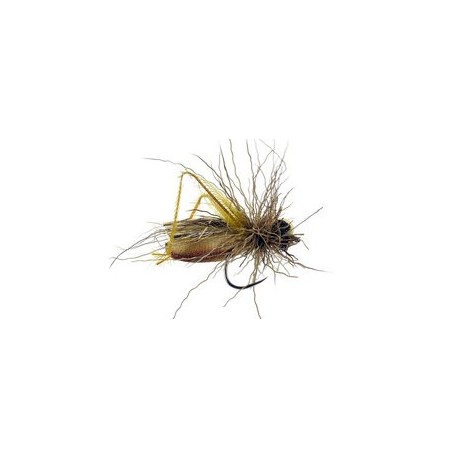 Sf Brown Hopper Bl