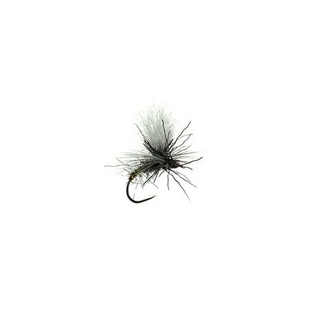 Sf Chamois Klinky Black