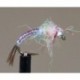 Bh Rainbow Warrior (Pearl)