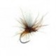 Sf Chamois Klinky Rusty