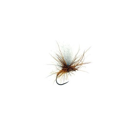 Sf Chamois Klinky Rusty