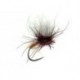 Sf Chamois Klinky Rusty Claret