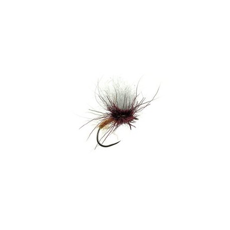 Sf Chamois Klinky Rusty Claret