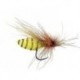 Sf Crazy Bee Bl