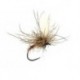 Sf Dirty Chamois Klinky Brown