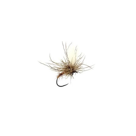 Sf Dirty Chamois Klinky Brown