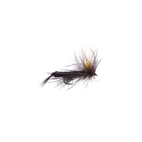 Sf Hopper Brown Bl