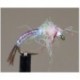Bh Rainbow Warrior Pearl