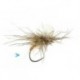 Sf Xfloating Transporter Loop Para Brown