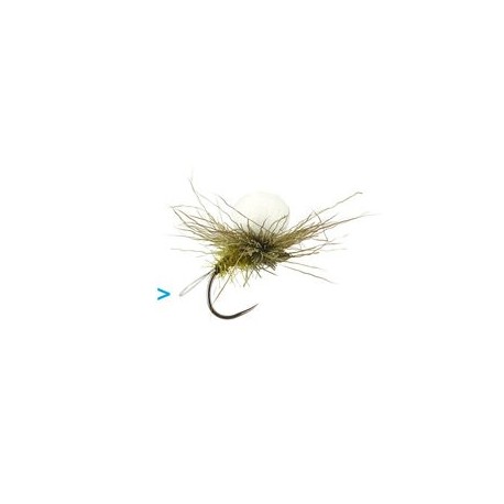 Sf Xfloating Transporter Loop Para Olive