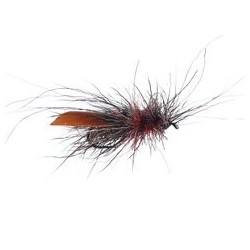 Sf Xlarge Chamois Sedge Brown Bl