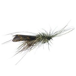 Sf Xlarge Chamois Sedge Olive Bl