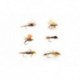 All Around Trout