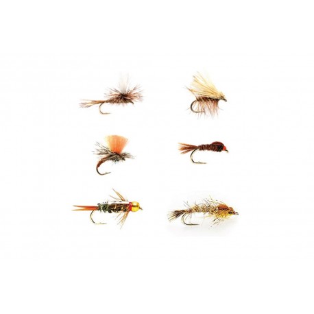 All Around Trout