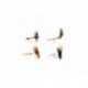 Mayflies Selection