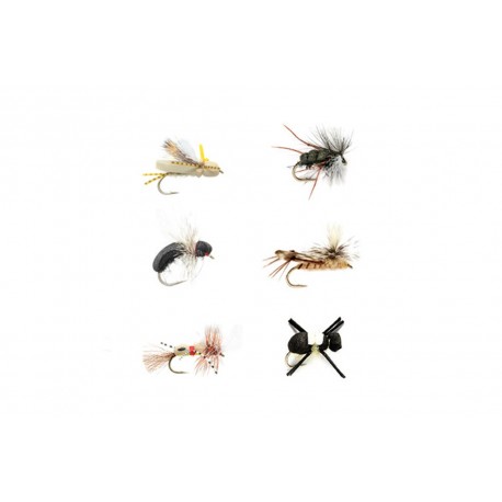 Terrestrial Selection