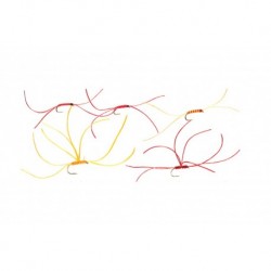 Worms Selection