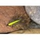 Biotic Hares Ear Hog