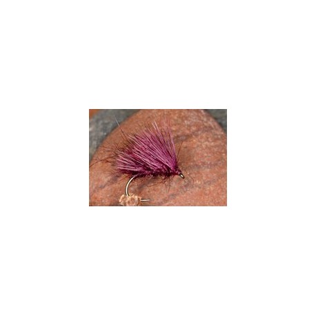 Claret Hog