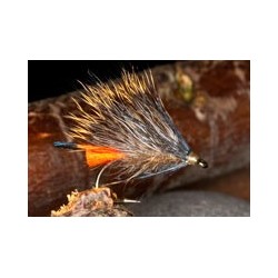 Hare's Ear Sedgehog