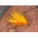 Hot Orkney Peach Hedgeho
