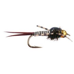 Bh Rl Epoxy Bob Zebra