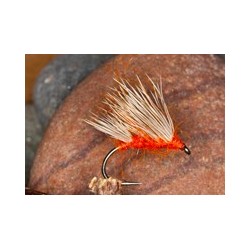 Orange Hedgehog