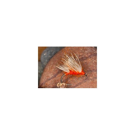 Orange Hedgehog