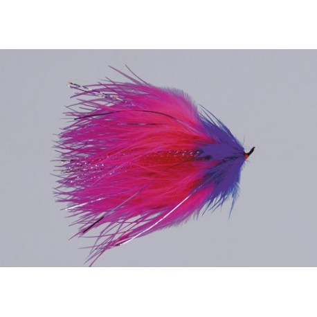 Alaskabou Purple