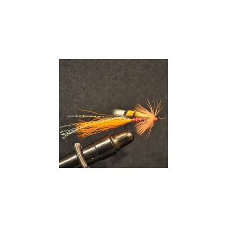 Allys Shrimp