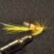 Allys Yellow