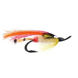 Bk Ranger Fire