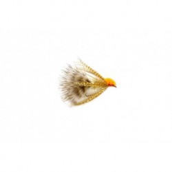 Chicken Little Steelhead Orange