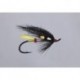 Classic Salmon Cf Garry Dog