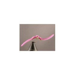 Bh San Juan Word Pink