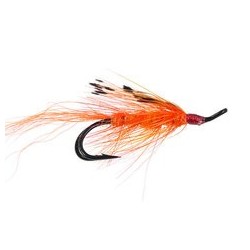 Gp Orange