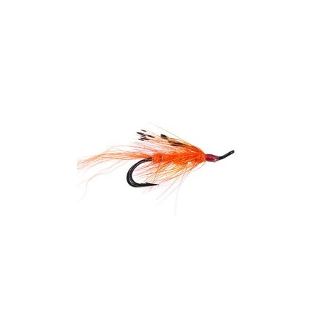 Gp Orange