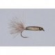 Gray Pearl Bristol Bay Sockeye Fry
