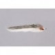 Gray White Double Bunny (Barbell) Weighted