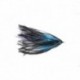 Intruder Black & Blue
