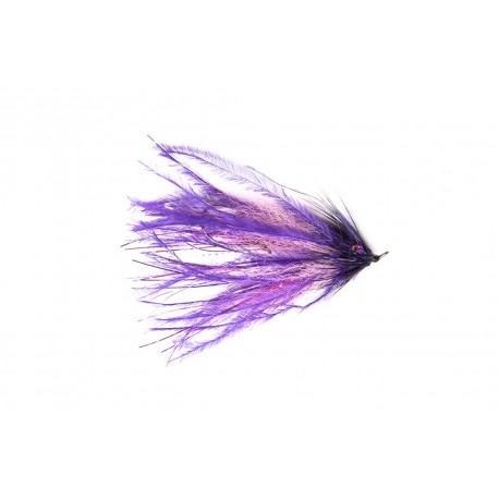 Intruder Purple & Pink