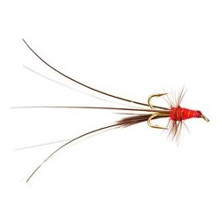 Mw Francis Red Treble