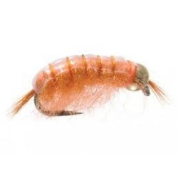 Bh Scud Light Orange