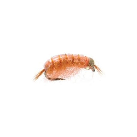 Bh Scud Light Orange