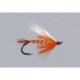 Polar Shrimp